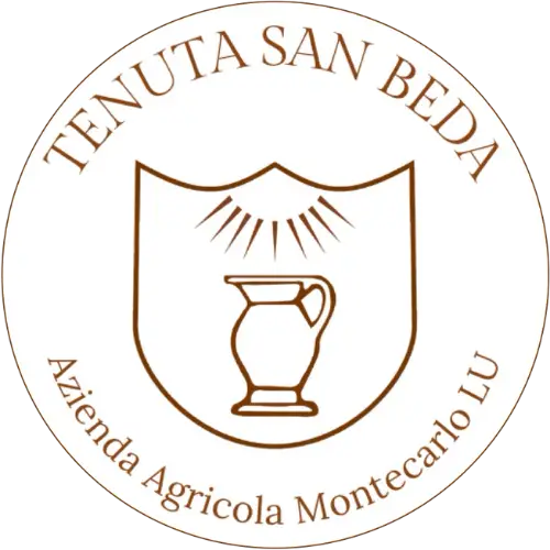 Vai al sito web di Tenuta San Beda