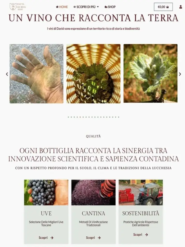 chi siamo Tenuta San Beda (2)