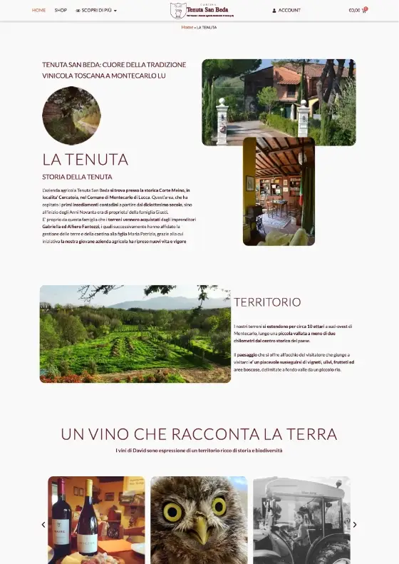 azienda tenuta san beda